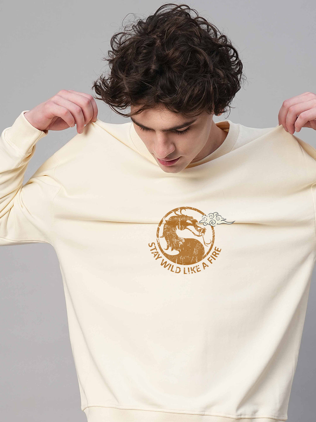 Dragonite Men Drop Shoulder Premium Terry Sweatshirt