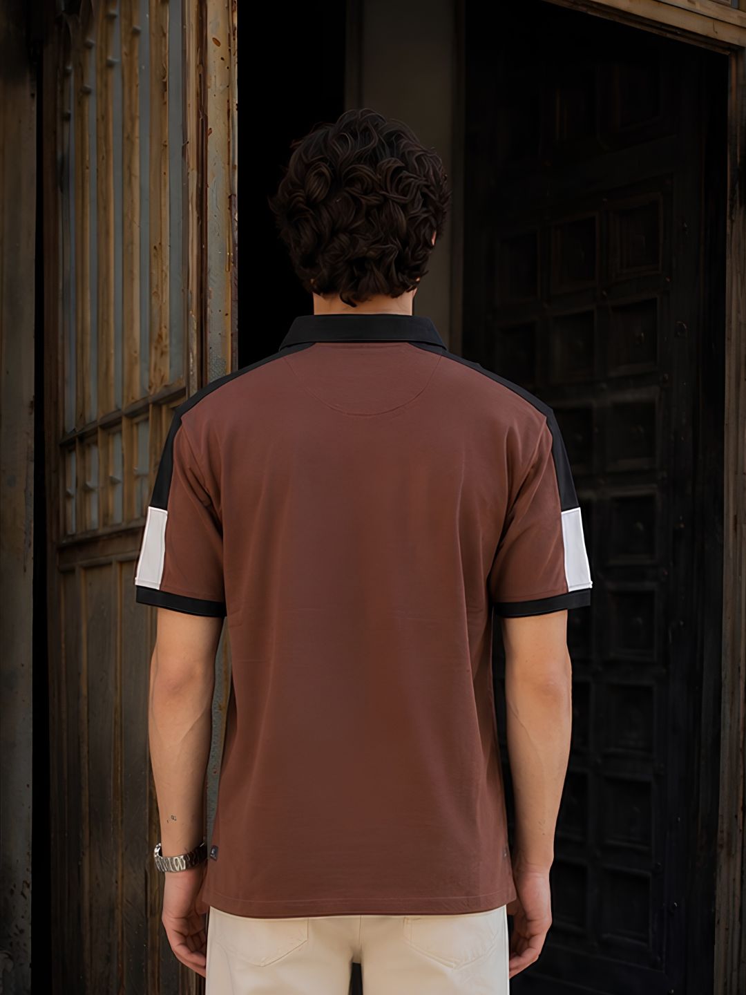Men Premium Colorblock Relaxed Fit Polo T-Shirt